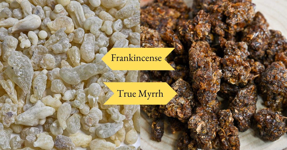 Uncovering the Myrrh Oil Benefits for 2023 and Beyond
