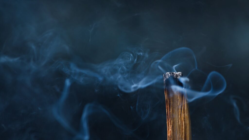 Palo Santo Stick Burning