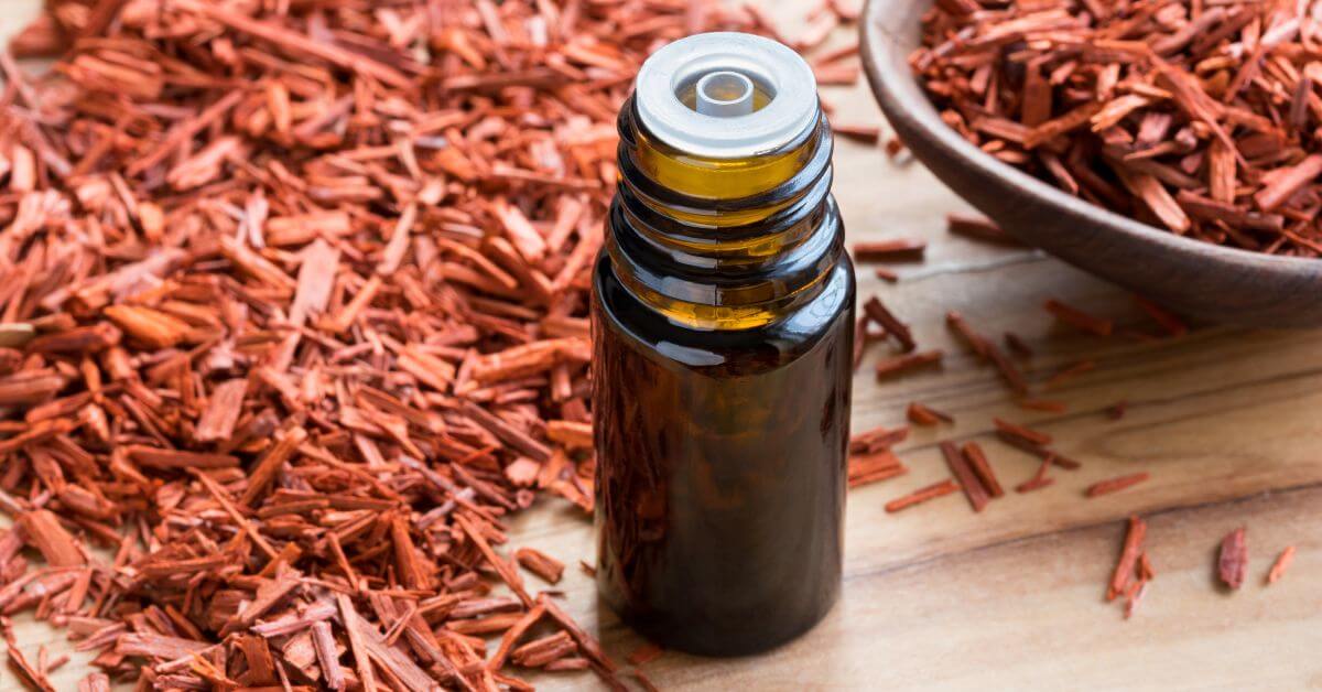 Sandalwood Oil