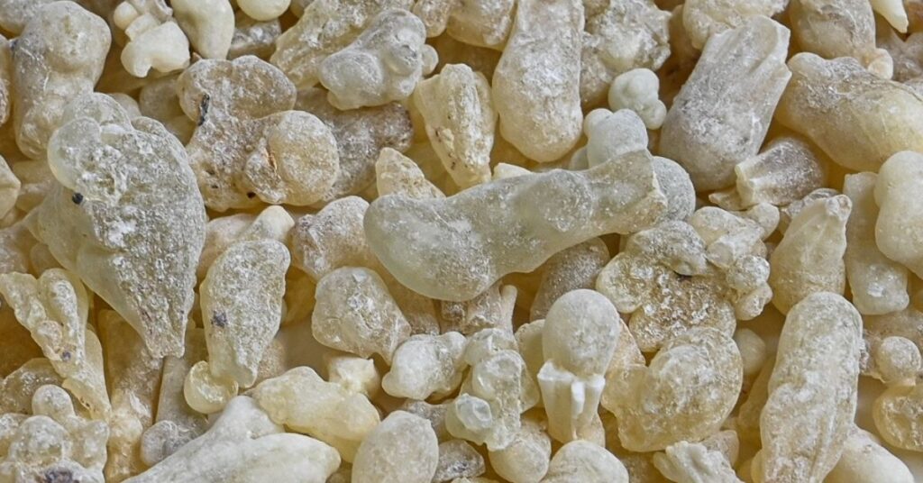 hojari frankincense