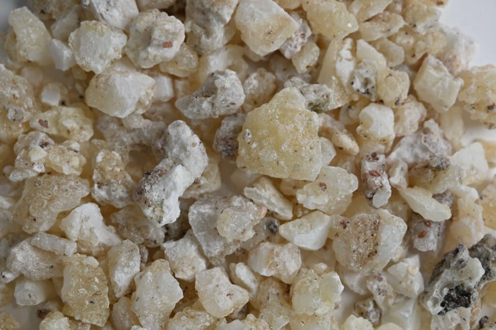 White Copal From Mexico